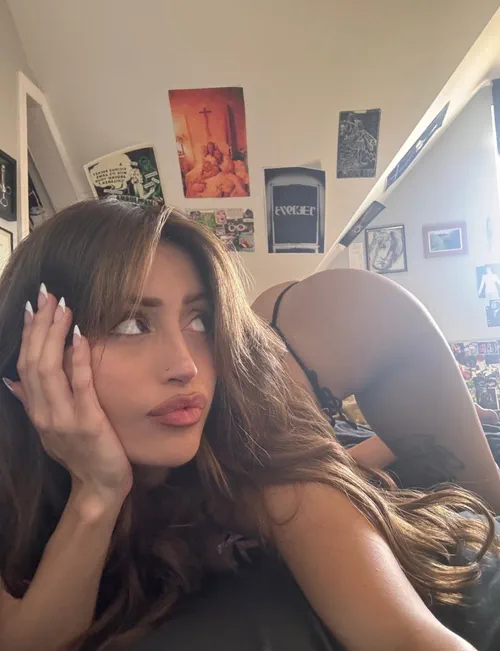 Cicofox